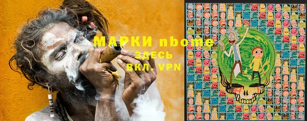 сатива Козловка