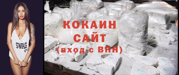 сатива Козловка