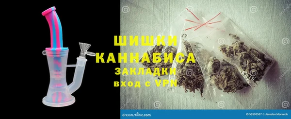 сатива Козловка