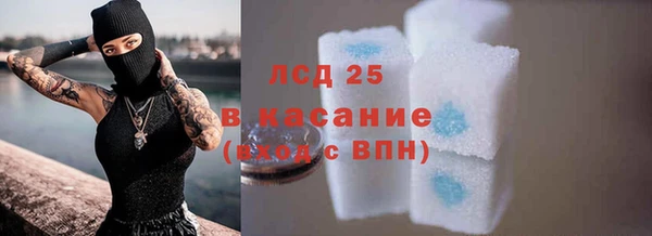 сатива Козловка
