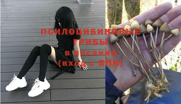таблы Кодинск