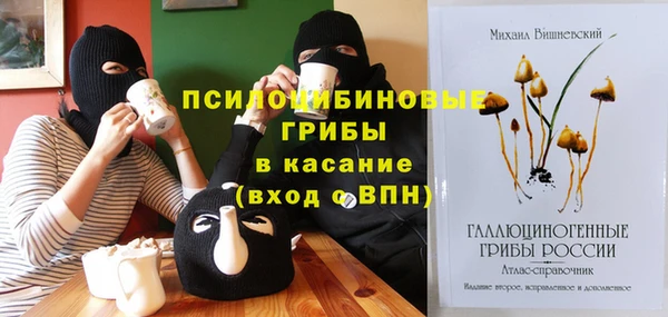 сатива Козловка
