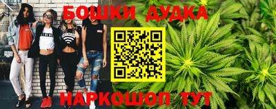 прущие крисы Бийск