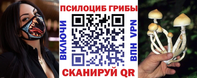Псилоцибиновые грибы MAGIC MUSHROOMS  купить   сайты даркнета официальный сайт  Ялта 