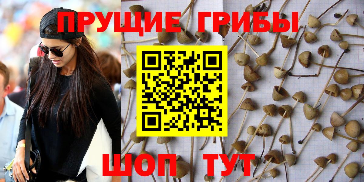 Галлюциногенные грибы прущие грибы Ялта