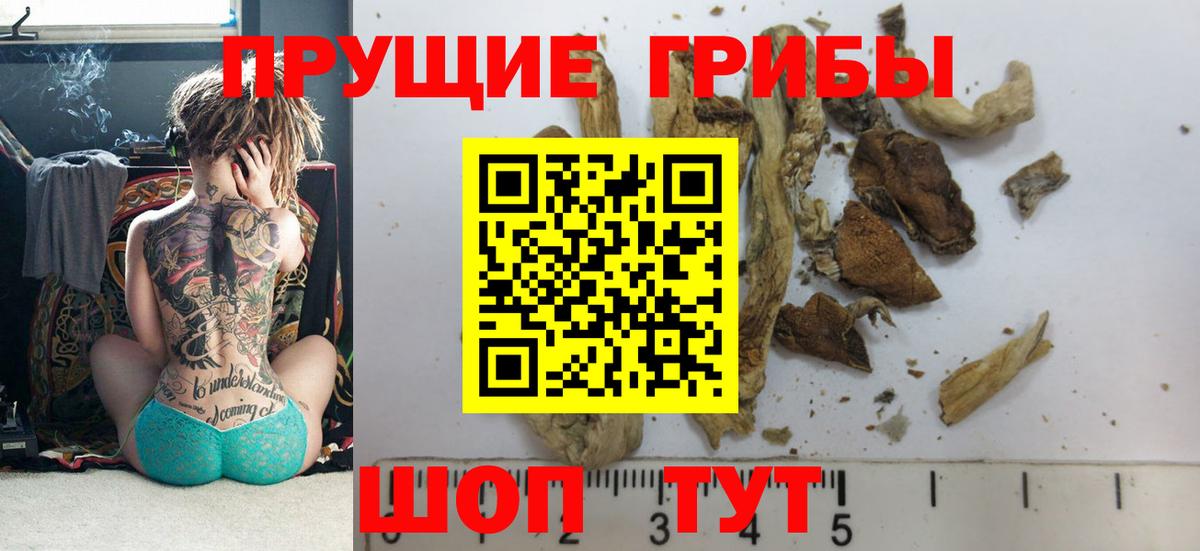 закладки  Псилоцибиновые грибы Magic Shrooms  Ялта  Псилоцибиновые грибы Psilocybine cubensis 