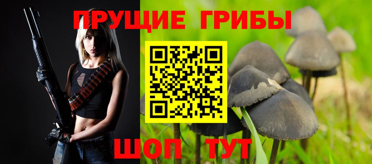 Галлюциногенные грибы GOLDEN TEACHER  Вход с VPN  Ялта 
